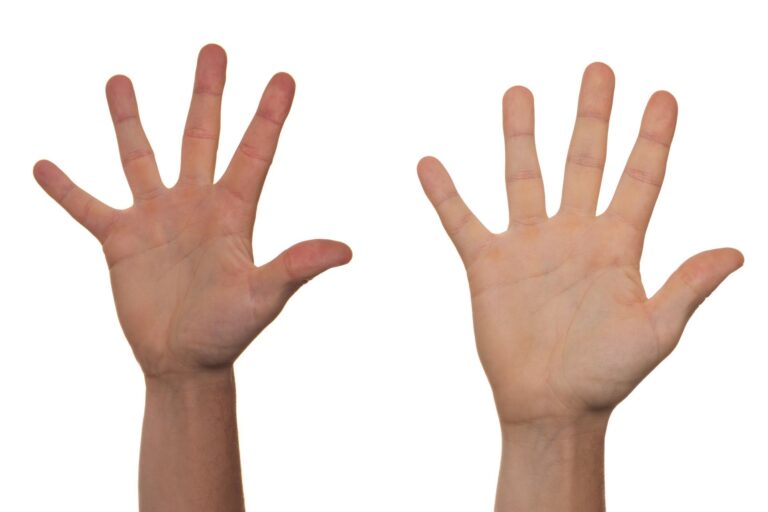 Zdjęcie przedstawia 2 dłonie wyciągnięte do góry.