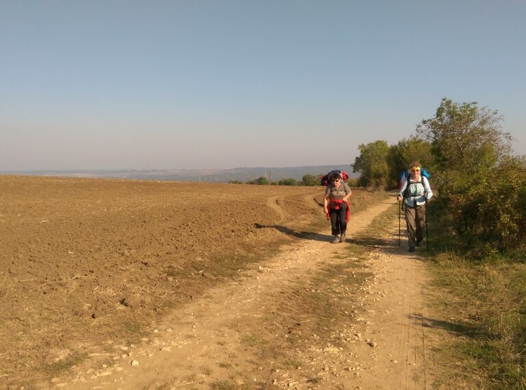 Zdjęcie przedstawia dwie osoby idące polną drogą.