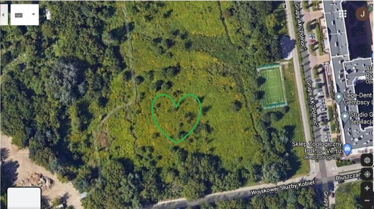 Zdjęcie satelitarne terenów zielonych na osiedlu Siekierki