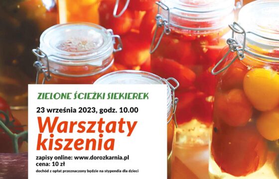 Grafika wydarzenia warsztaty kiszenia. Słoiki z kiszonymi warzywami.