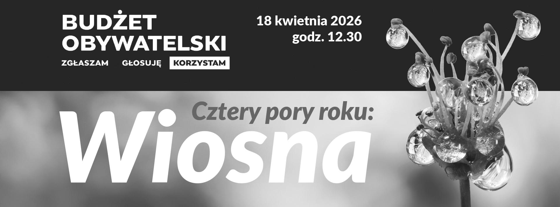 Fotografia przedstawiająca kwiat z kroplami wody na pręcikach w dużym zbliżeniu. Napis "Cztery pory roku. Wiosna"
