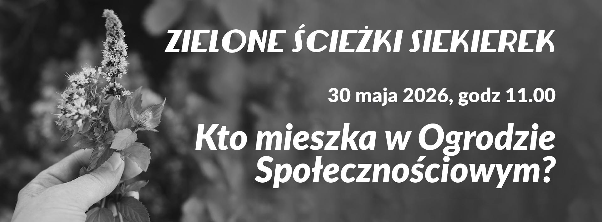Zdjęcie dłoni trzymającej kwitnące zioło z napisem "Kto mieszka w ogrodzie społecznościowym"