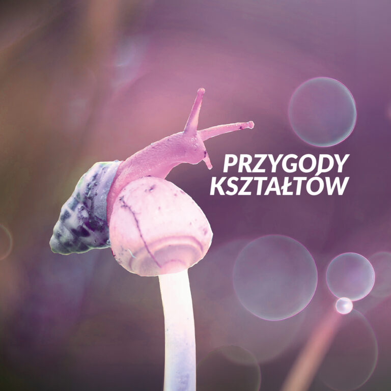Grafika komputerowa. Ślimak na grzybie. Napis "Przygody kształtów"