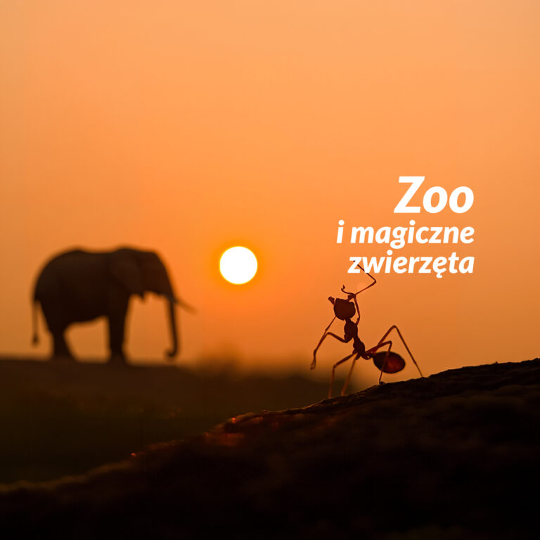 Widok słonia i mrówki na tle zachodzącego słońca.
