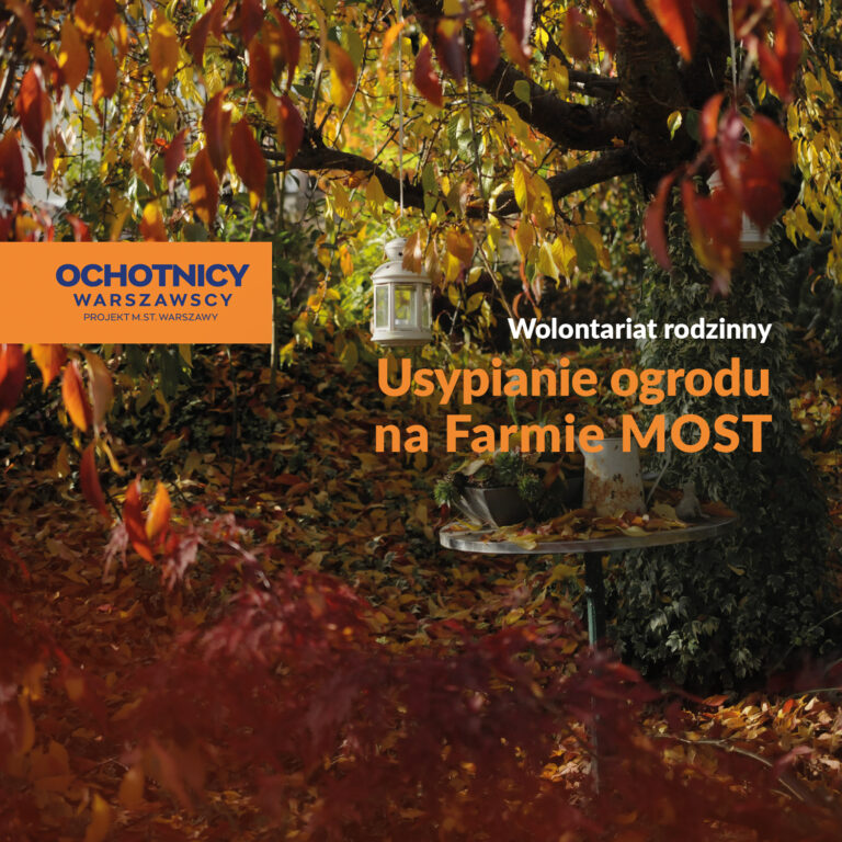 Grafika. Bochomazy jako malunek jesieni. Napis "Usypianie ogrodu na Farmie MOST"