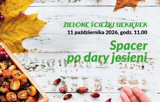 Grafika. Liście, i suche kwiaty na tle starych, malowanych desek. Napis "Zielone ścieżki Siekierek. Spacer po dary jesieni"