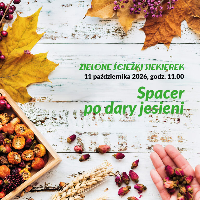 Grafika. Liście, i suche kwiaty na tle starych, malowanych desek. Napis "Zielone ścieżki Siekierek. Spacer po dary jesieni"