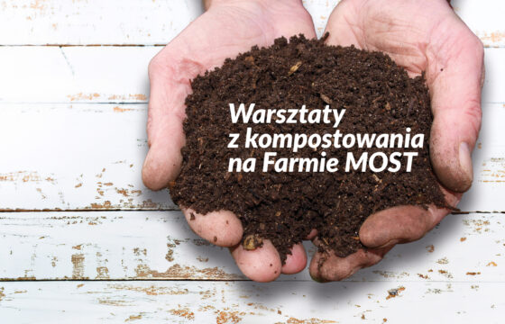Dłonie z ziemią na tle starych, malowanych desek. Napis "Zielone ścieżki Siekierek. Warsztaty z kompostowania na Farmie MOST"